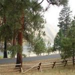 Spring Bar Campground