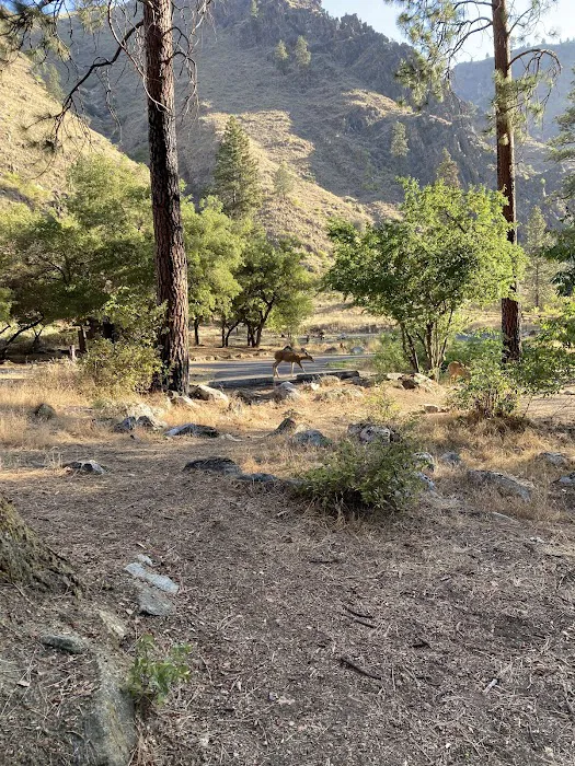 Spring Bar Campground 5