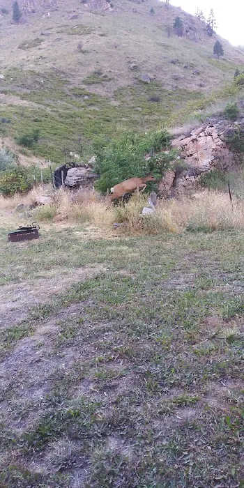 Spring Bar Campground 7