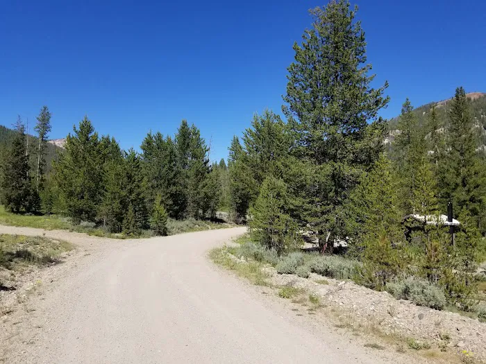 Eightmile Campground 8