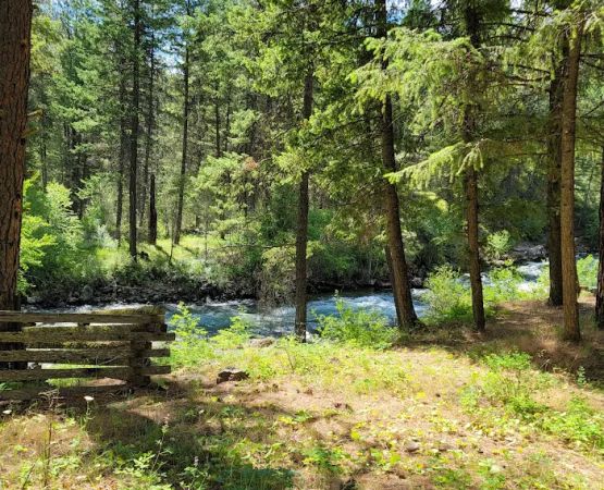 Eagle Forks Campground
