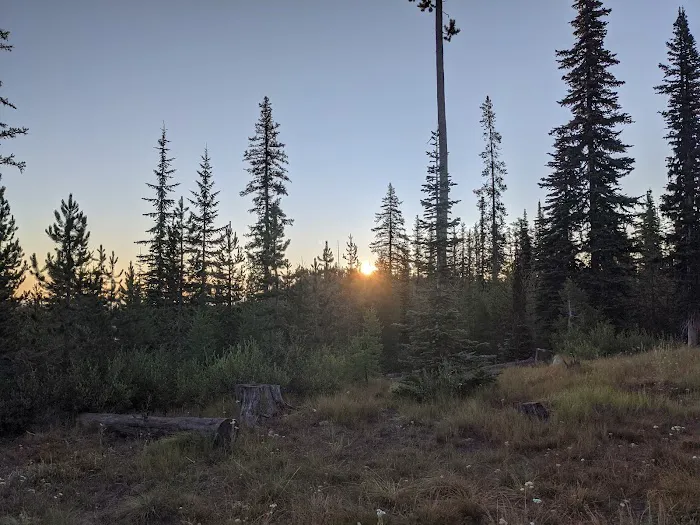 Twin Lakes Campground 1