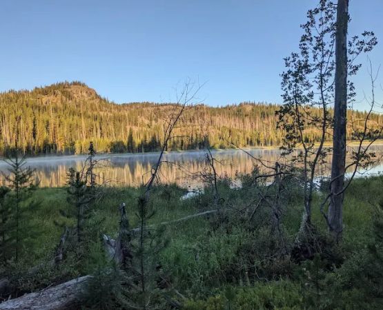 Twin Lakes Campground