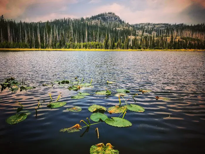 Twin Lakes Campground 4
