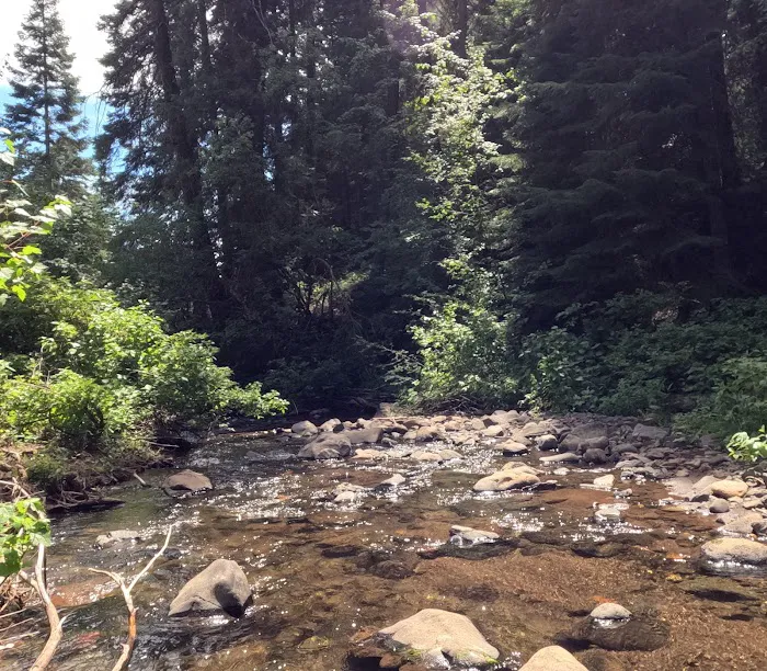 MANN CREEK CAMPGROUND 7