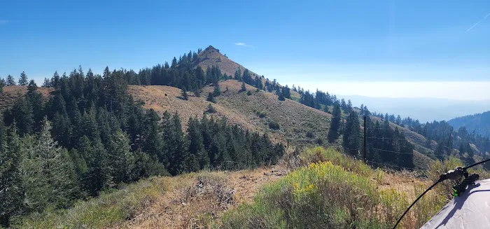 Bassar Diggins 3