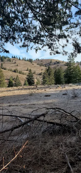 Bassar Diggins 5