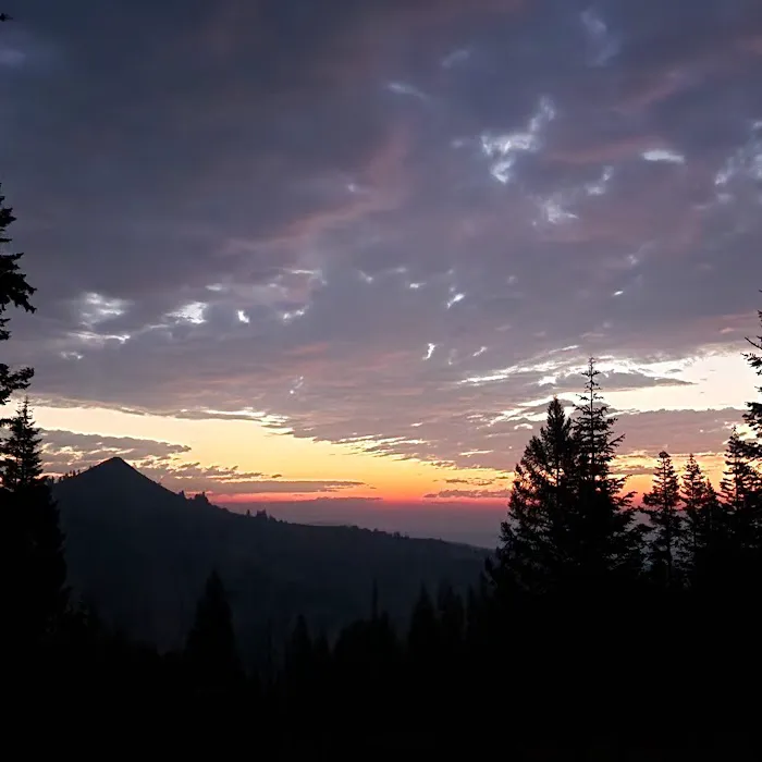 Bassar Diggins 4