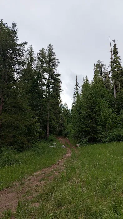 Bassar Diggins 9