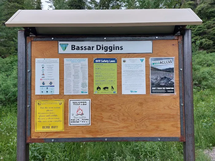 Bassar Diggins 8