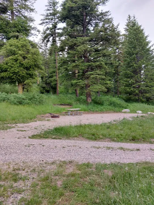 Bassar Diggins 7
