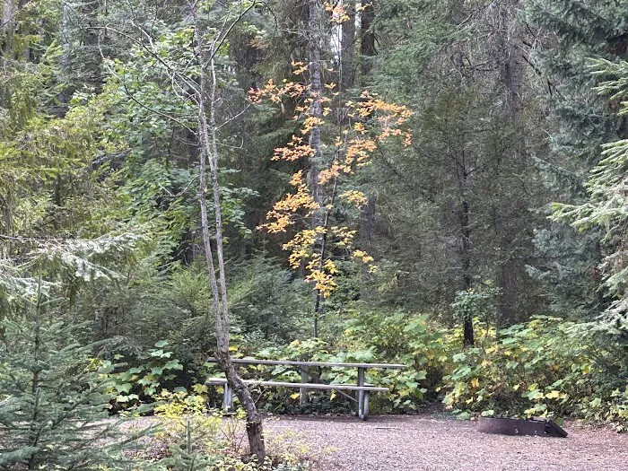 Spring Recreation Site 6