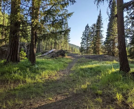 Hidden Campground