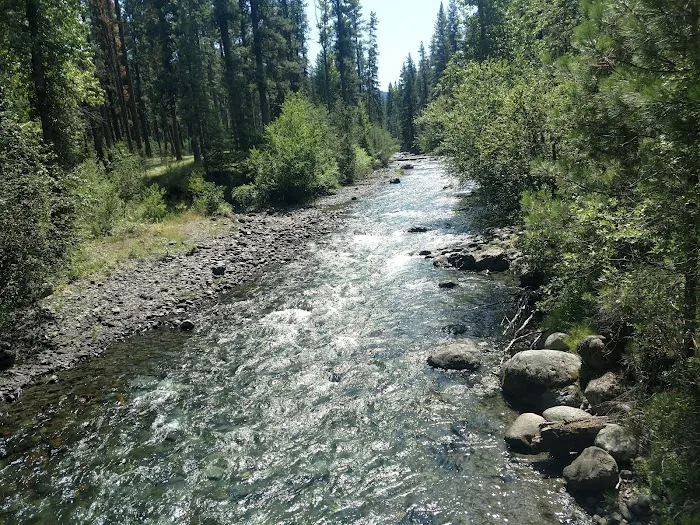 Ollokot Campground 2