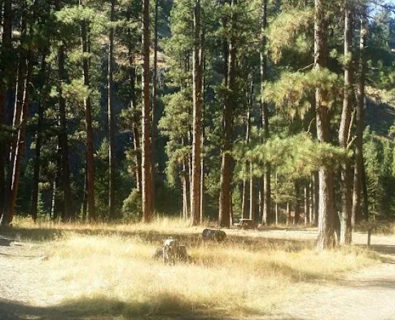 Ollokot Campground
