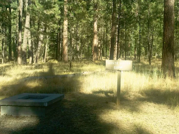 Ollokot Campground 5