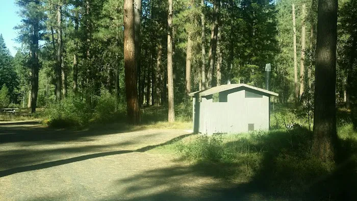 Ollokot Campground 4