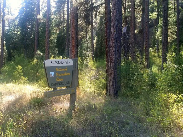 Blackhorse Campground 1