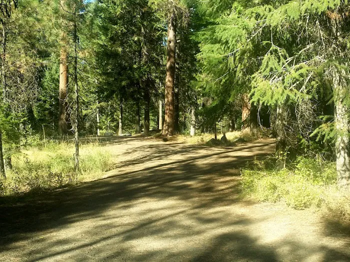 Blackhorse Campground 6