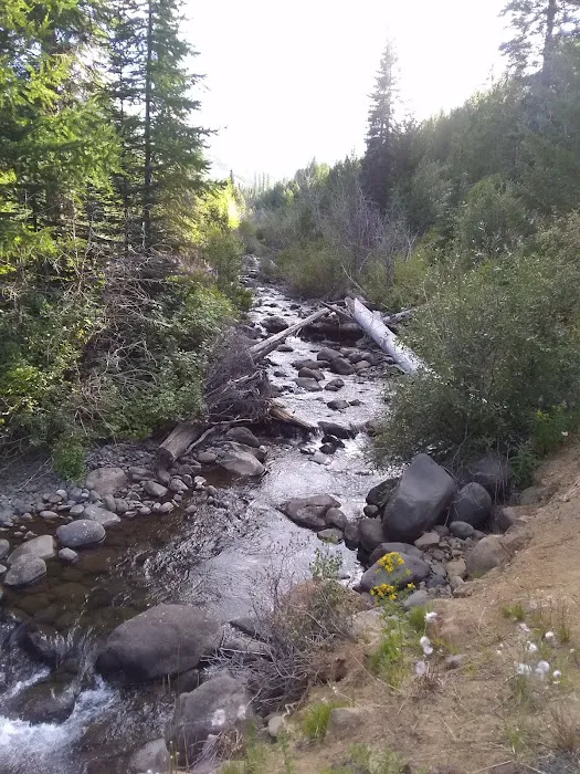 Lick Creek Campground 1