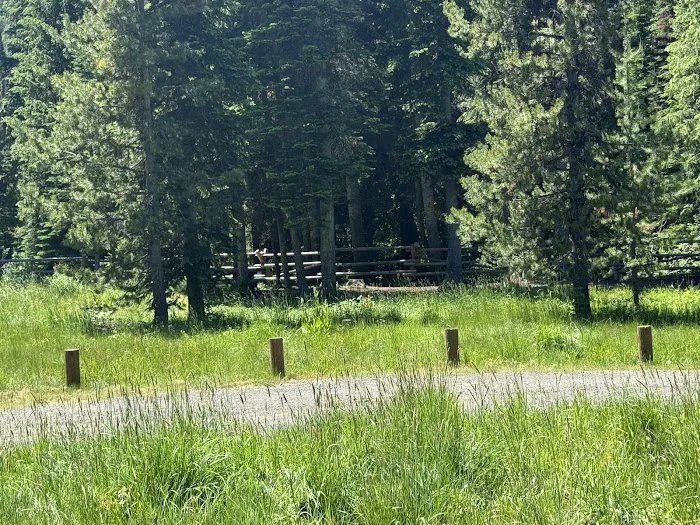 Lick Creek Campground 4