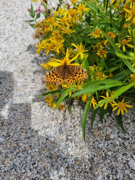 Boulder Park Campground 7