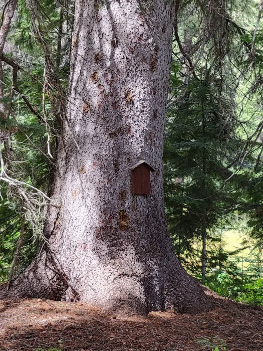 Boulder Park Campground 6