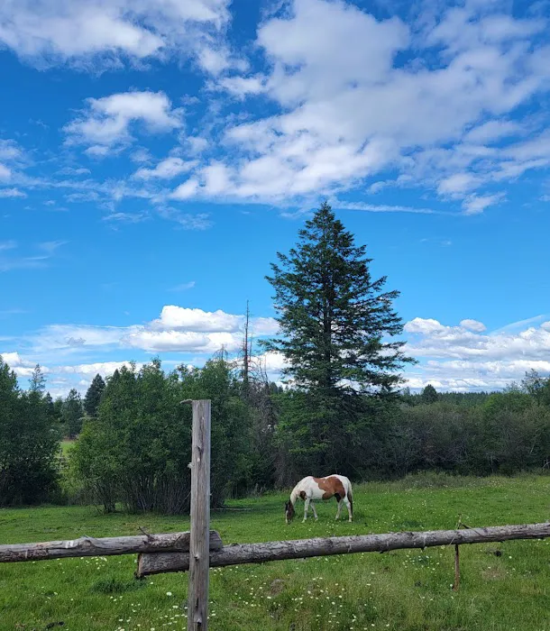 Parkside Mountain Ranch 2