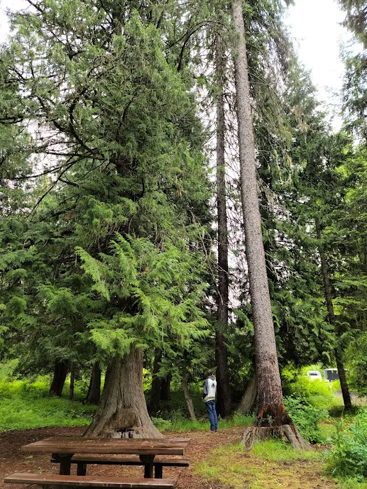 Cedar Creek Campground 8