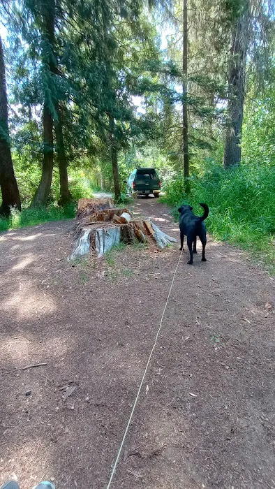 Cedar Creek Campground 6