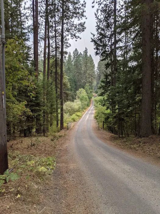 Benewah Lake Campground 2