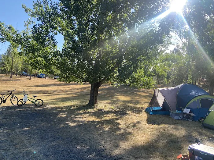 Dworshak Reservoir Grandad Campground 3