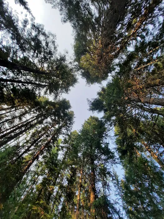 Fish Creek Campground 2