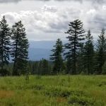 Fish Creek Campground