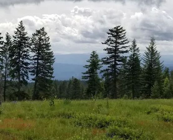 Fish Creek Campground