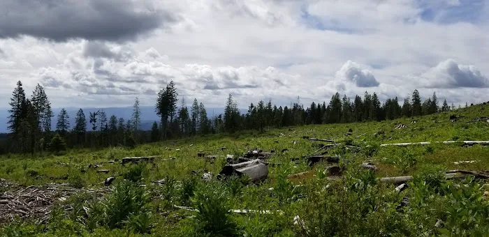 Fish Creek Campground 5