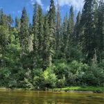 Castle Creek Campground