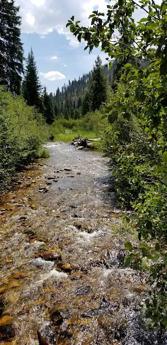 Castle Creek Campground 4