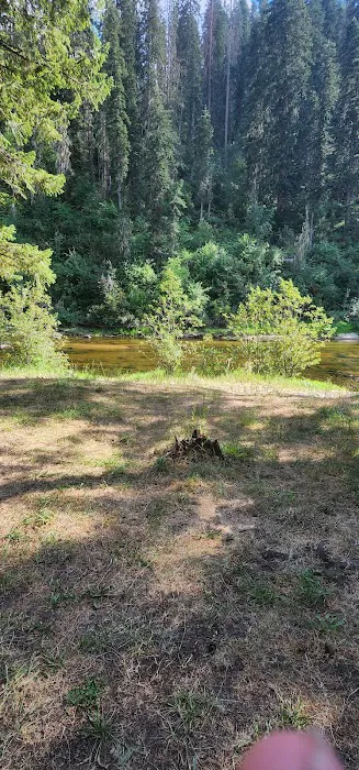 Castle Creek Campground 6