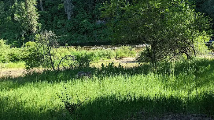 South Fork Campground 3