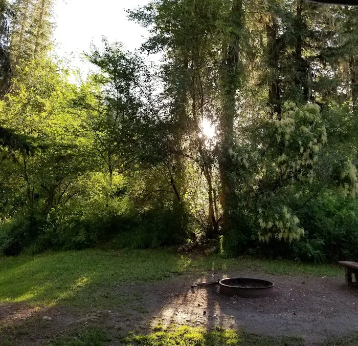 South Fork Campground 4