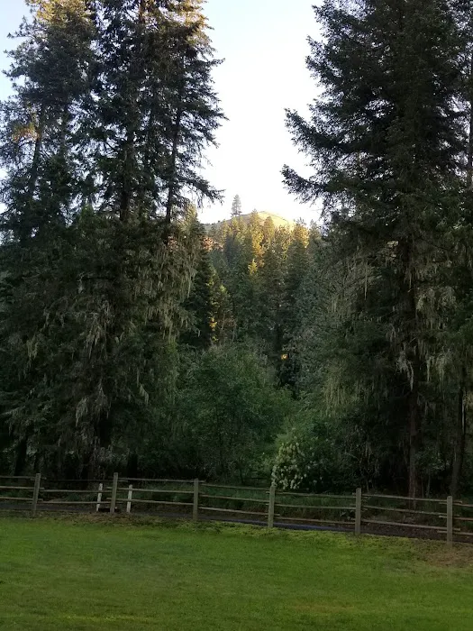South Fork Campground 8