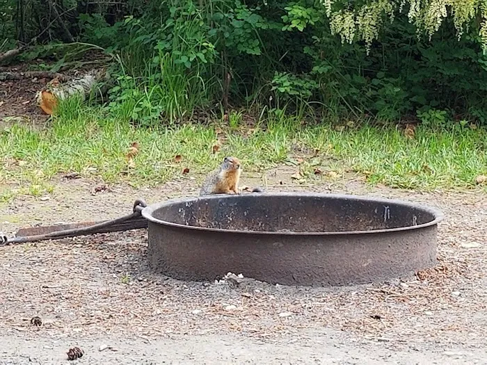 South Fork Campground 7