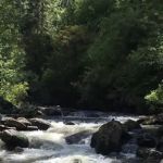 Meadow Creek Campground