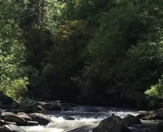 Meadow Creek Campground