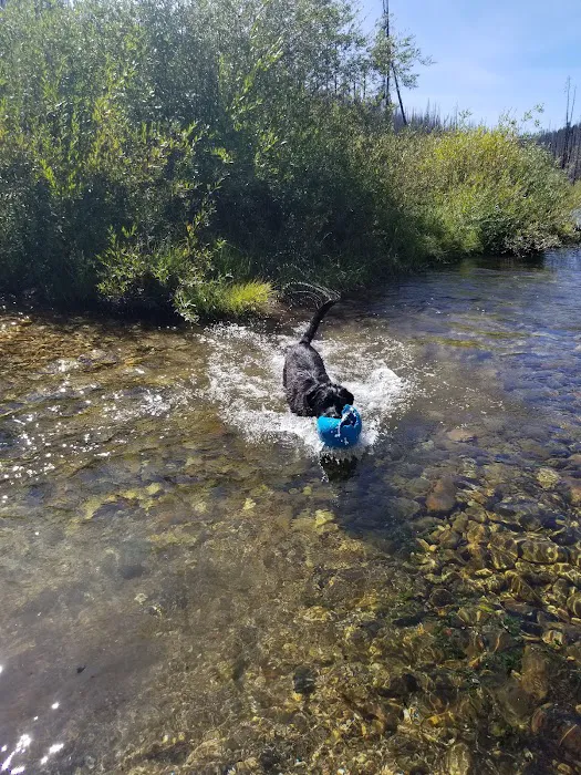 Horse Creek Hot Springs Campground 9