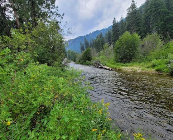 Alta Campground