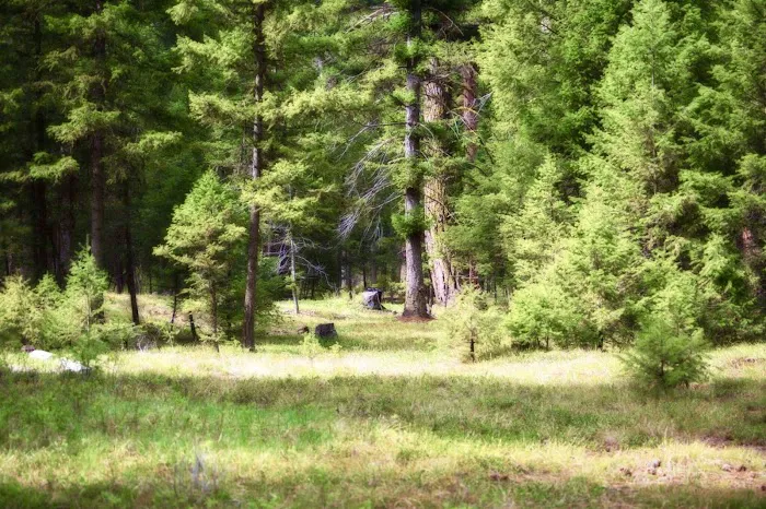 Alta Campground 5