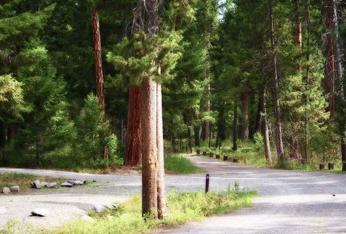 Alta Campground 7