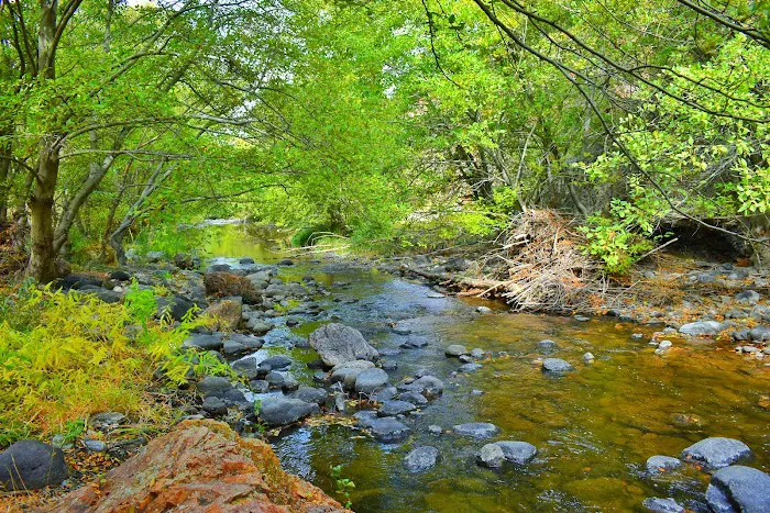 Succor Creek Campground 2
